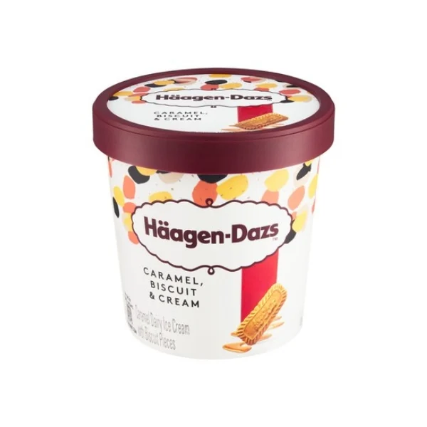 HAAGEN-DAZS CARAMEL BISCUIT & CREAM 460ML